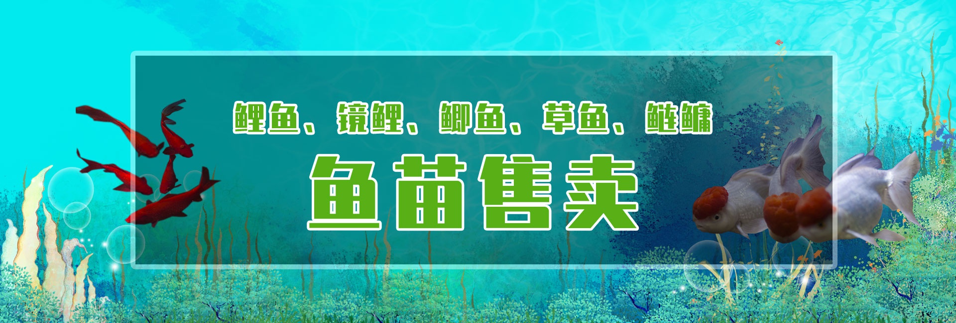 &#20048;&#40060;