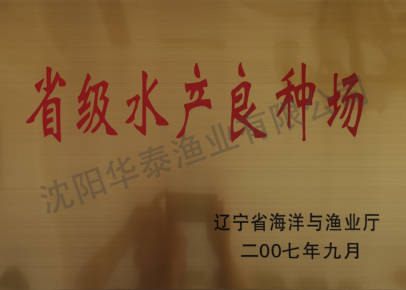 &#20048;&#40060;